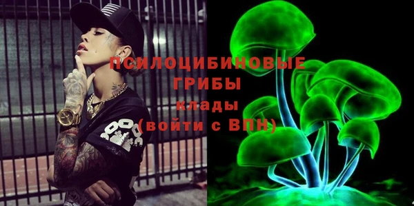 apvp Богородицк